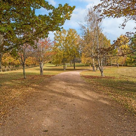 Blackwood Park Cottages Mole Creek Екстер'єр фото