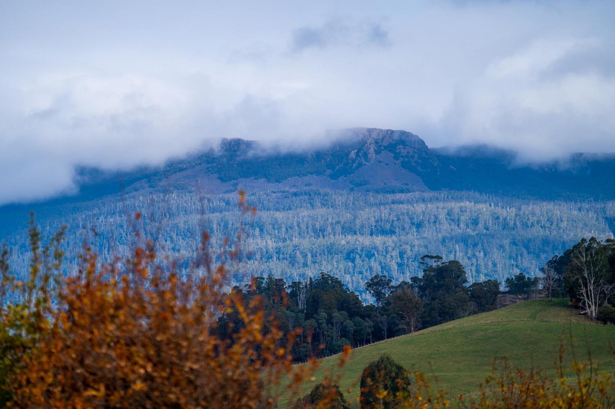 Blackwood Park Cottages Mole Creek Екстер'єр фото