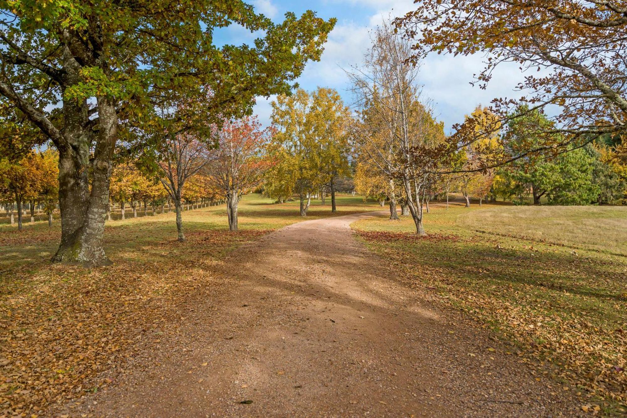 Blackwood Park Cottages Mole Creek Екстер'єр фото