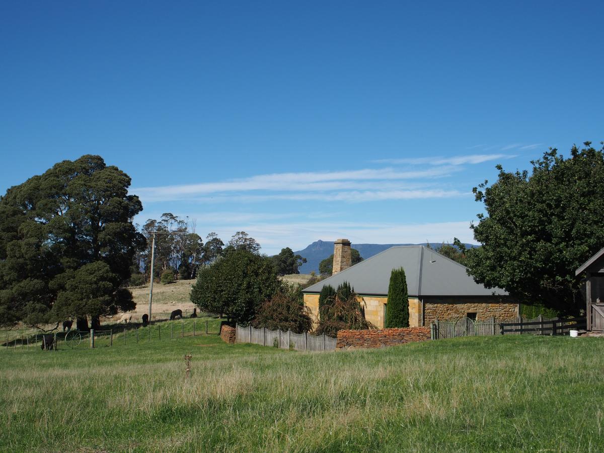 Blackwood Park Cottages Mole Creek Екстер'єр фото