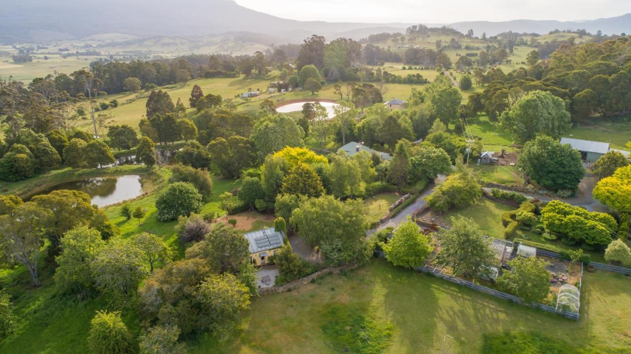 Blackwood Park Cottages Mole Creek Екстер'єр фото